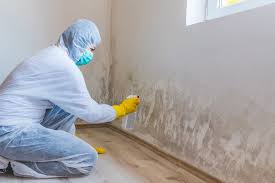 Best Environmental Consulting for Mold Prevention in Del Rey, CA